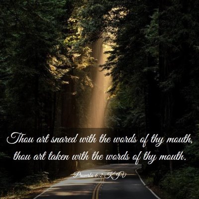 Picture 03 - Proverbs 6:2 KJV - Thou art snared with the words of thy mouth, thou - Bible Verse Picture