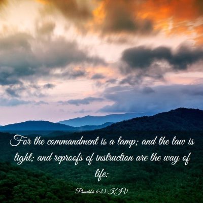 Picture 03 - Proverbs 6:23 KJV - For the commandment is a lamp; and the law is - Bible Verse Picture