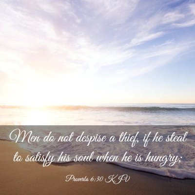 Picture 03 - Proverbs 6:30 KJV - Men do not despise a thief, if he steal to - Bible Verse Picture