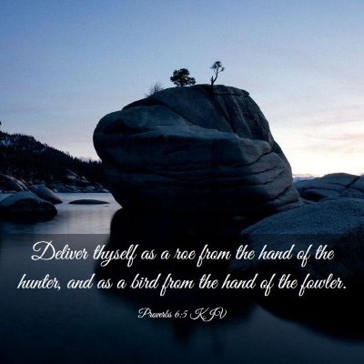 Picture 03 - Proverbs 6:5 KJV - Deliver thyself as a roe from the hand of the - Bible Verse Picture