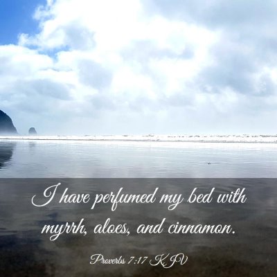 Picture 03 - Proverbs 7:17 KJV - I have perfumed my bed with myrrh, aloes, and - Bible Verse Picture
