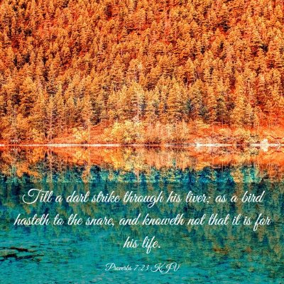 Picture 03 - Proverbs 7:23 KJV - Till a dart strike through his liver; as a bird - Bible Verse Picture