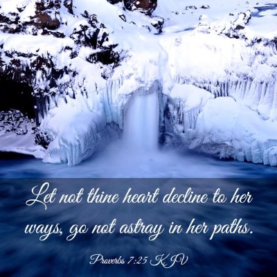 Picture 03 - Proverbs 7:25 KJV - Let not thine heart decline to her ways, go not - Bible Verse Picture