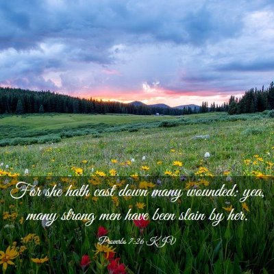 Picture 03 - Proverbs 7:26 KJV - For she hath cast down many wounded: yea, many - Bible Verse Picture