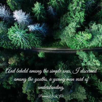 Picture 03 - Proverbs 7:7 KJV - And beheld among the simple ones, I discerned - Bible Verse Picture
