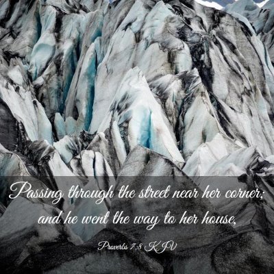 Picture 03 - Proverbs 7:8 KJV - Passing through the street near her corner; and - Bible Verse Picture