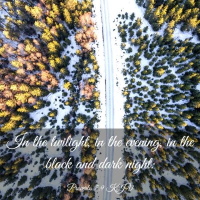 Picture 03 - Proverbs 7:9 KJV - In the twilight, in the evening, in the black and - Bible Verse Picture