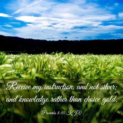 Picture 03 - Proverbs 8:10 KJV - Receive my instruction, and not silver; and - Bible Verse Picture