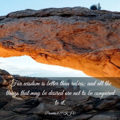 Picture 03 - Proverbs 8:11 KJV - For wisdom is better than rubies; and all the - Bible Verse Picture