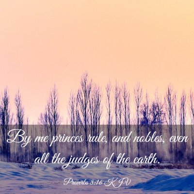Picture 03 - Proverbs 8:16 KJV - By me princes rule, and nobles, even all the - Bible Verse Picture