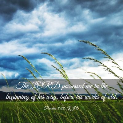 Picture 03 - Proverbs 8:22 KJV - The LORD possessed me in the beginning of his - Bible Verse Picture