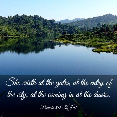 Picture 03 - Proverbs 8:3 KJV - She crieth at the gates, at the entry of the - Bible Verse Picture