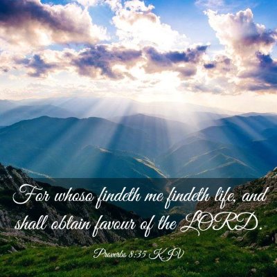 Picture 03 - Proverbs 8:35 KJV - For whoso findeth me findeth life, and shall - Bible Verse Picture