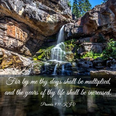 Picture 03 - Proverbs 9:11 KJV - For by me thy days shall be multiplied, and the - Bible Verse Picture
