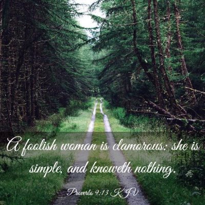 Picture 03 - Proverbs 9:13 KJV - A foolish woman is clamorous: she is simple, and - Bible Verse Picture