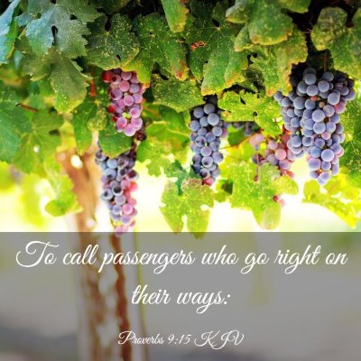 Picture 03 - Proverbs 9:15 KJV - To call passengers who go right on their - Bible Verse Picture