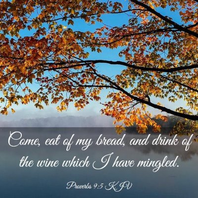 Picture 03 - Proverbs 9:5 KJV - Come, eat of my bread, and drink of the wine - Bible Verse Picture