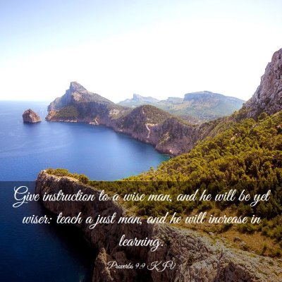 Picture 03 - Proverbs 9:9 KJV - Give instruction to a wise man, and he will be - Bible Verse Picture