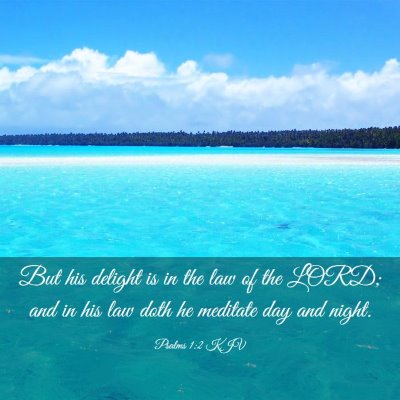 Picture 03 - Psalms 1:2 KJV - But his delight is in the law of the LORD; and in - Bible Verse Picture