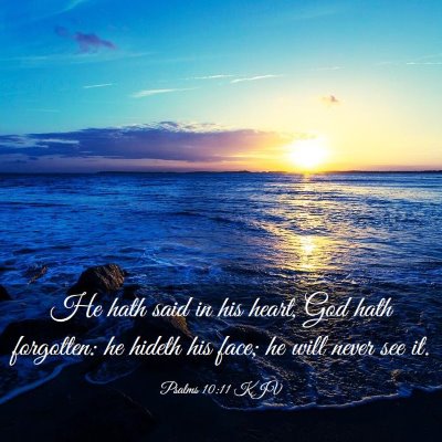 Picture 03 - Psalms 10:11 KJV - He hath said in his heart, God hath forgotten: he - Bible Verse Picture