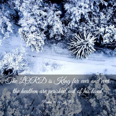Picture 03 - Psalms 10:16 KJV - The LORD is King for ever and ever: the heathen - Bible Verse Picture