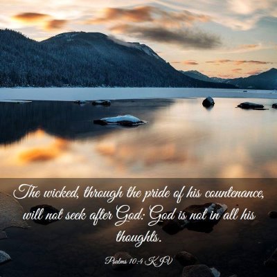 Picture 03 - Psalms 10:4 KJV - The wicked, through the pride of his countenance, - Bible Verse Picture