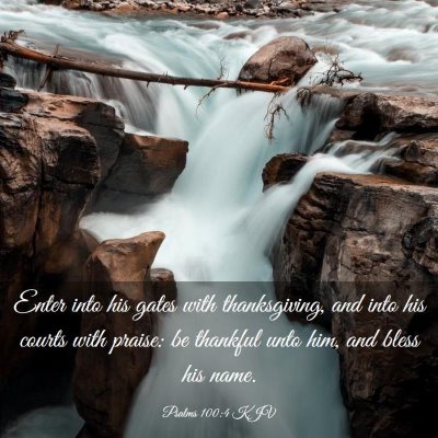 Picture 03 - Psalms 100:4 KJV - Enter into his gates with thanksgiving, and into - Bible Verse Picture