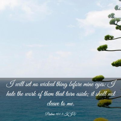 Picture 03 - Psalms 101:3 KJV - I will set no wicked thing before mine eyes: I - Bible Verse Picture