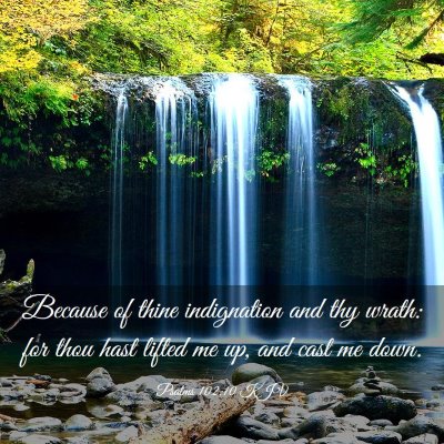 Picture 03 - Psalms 102:10 KJV - Because of thine indignation and thy wrath: for - Bible Verse Picture