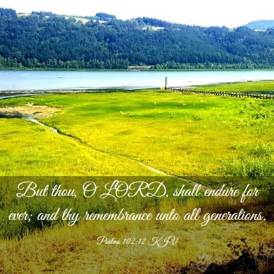 Picture 03 - Psalms 102:12 KJV - But thou, O LORD, shall endure for ever; and thy - Bible Verse Picture