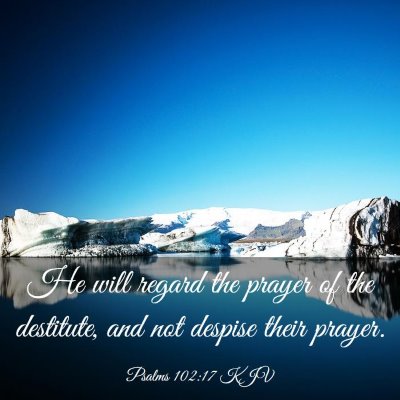 Picture 03 - Psalms 102:17 KJV - He will regard the prayer of the destitute, and - Bible Verse Picture