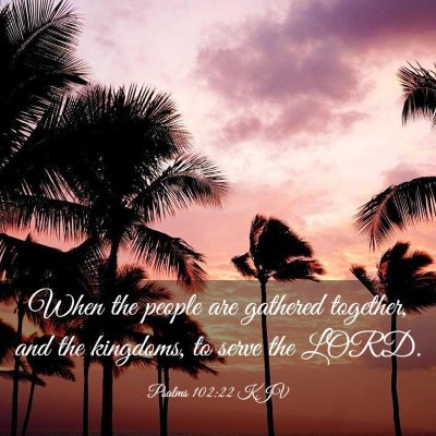 Picture 03 - Psalms 102:22 KJV - When the people are gathered together, and the - Bible Verse Picture