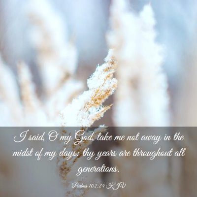 Picture 03 - Psalms 102:24 KJV - I said, O my God, take me not away in the midst - Bible Verse Picture