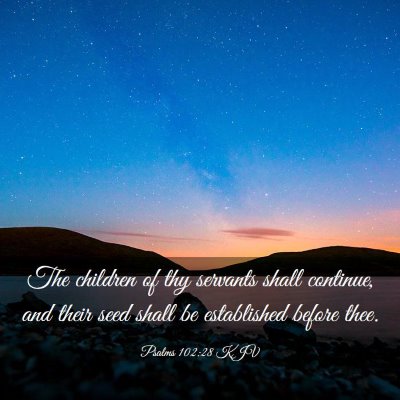Picture 03 - Psalms 102:28 KJV - The children of thy servants shall continue, and - Bible Verse Picture