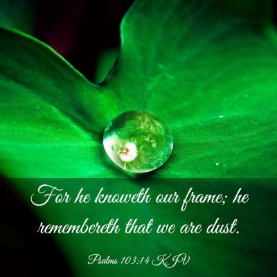 Picture 03 - Psalms 103:14 KJV - For he knoweth our frame; he remembereth that we - Bible Verse Picture