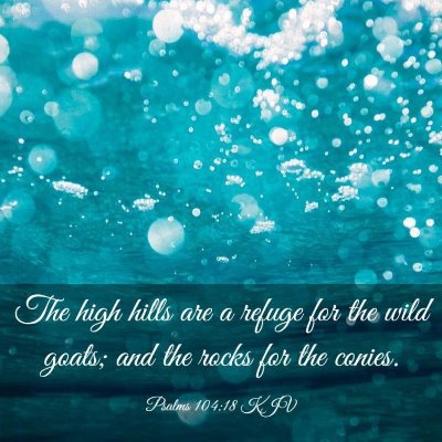 Picture 03 - Psalms 104:18 KJV - The high hills are a refuge for the wild goats; - Bible Verse Picture