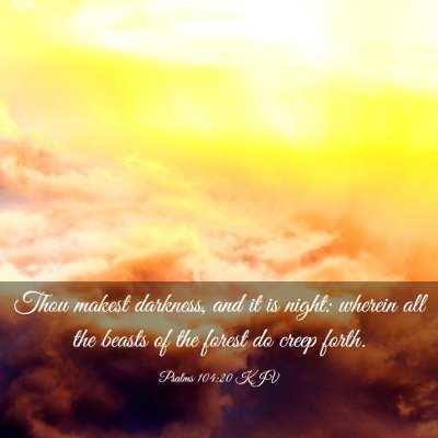 Picture 03 - Psalms 104:20 KJV - Thou makest darkness, and it is night: wherein - Bible Verse Picture