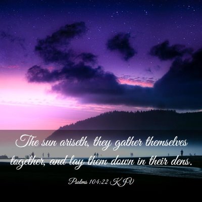 Picture 03 - Psalms 104:22 KJV - The sun ariseth, they gather themselves together, - Bible Verse Picture
