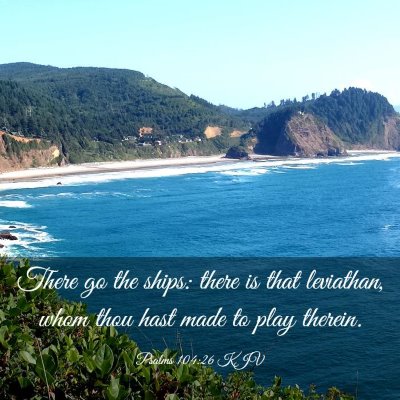 Picture 03 - Psalms 104:26 KJV - There go the ships: there is that leviathan, whom - Bible Verse Picture