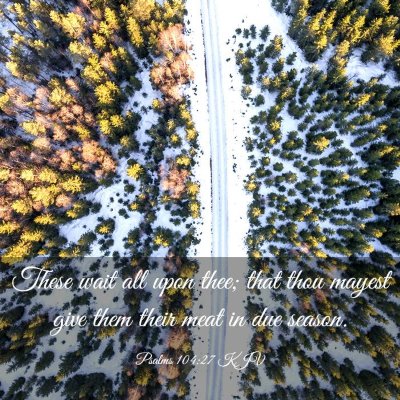Picture 03 - Psalms 104:27 KJV - These wait all upon thee; that thou mayest give - Bible Verse Picture