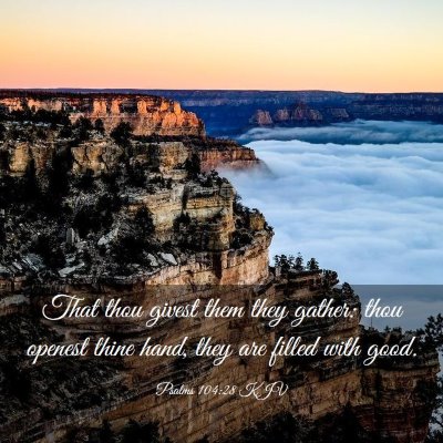 Picture 03 - Psalms 104:28 KJV - That thou givest them they gather: thou openest - Bible Verse Picture