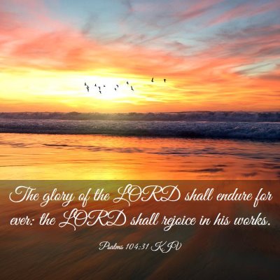 Picture 03 - Psalms 104:31 KJV - The glory of the LORD shall endure for ever: the - Bible Verse Picture