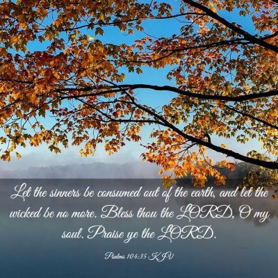 Picture 03 - Psalms 104:35 KJV - Let the sinners be consumed out of the earth, and - Bible Verse Picture