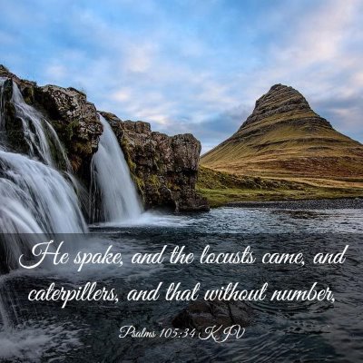 Picture 03 - Psalms 105:34 KJV - He spake, and the locusts came, and caterpillers, - Bible Verse Picture