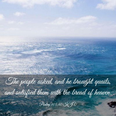 Picture 03 - Psalms 105:40 KJV - The people asked, and he brought quails, and - Bible Verse Picture