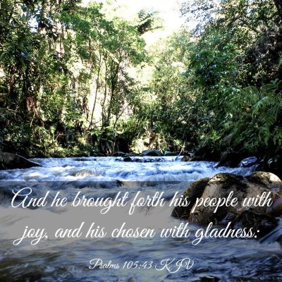 Picture 03 - Psalms 105:43 KJV - And he brought forth his people with joy, and his - Bible Verse Picture
