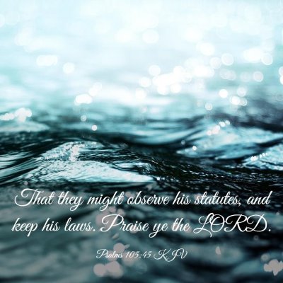 Picture 03 - Psalms 105:45 KJV - That they might observe his statutes, and keep - Bible Verse Picture