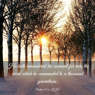 Picture 03 - Psalms 105:8 KJV - He hath remembered his covenant for ever, the - Bible Verse Picture