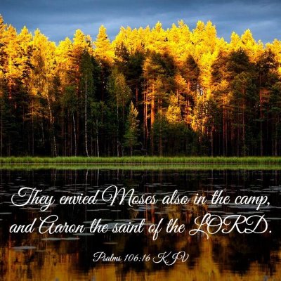 Picture 03 - Psalms 106:16 KJV - They envied Moses also in the camp, and Aaron the - Bible Verse Picture