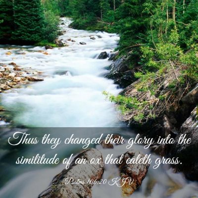 Picture 03 - Psalms 106:20 KJV - Thus they changed their glory into the similitude - Bible Verse Picture